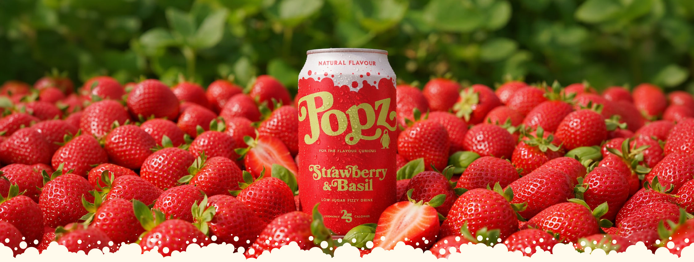 Popz—Strawberry-&-Basil—WEB-HERO